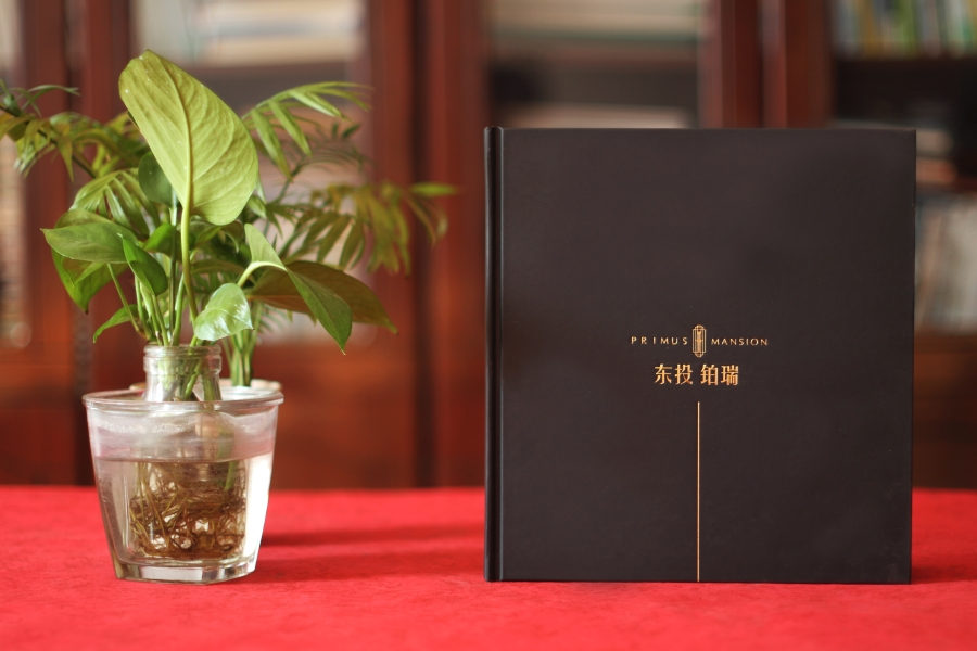 宣傳冊(cè)設(shè)計(jì)這么做，大氣側(cè)漏！